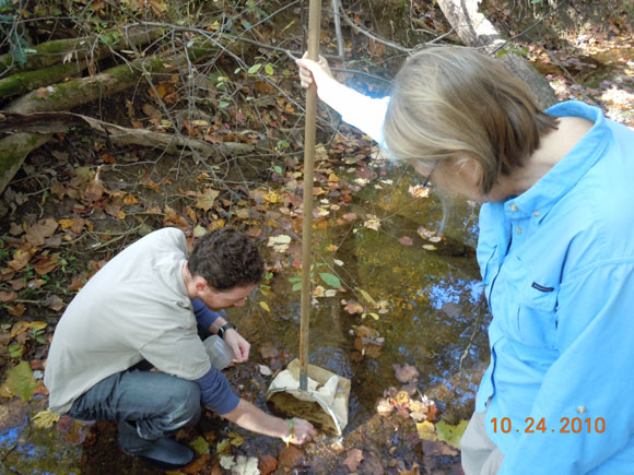1 - Scott Glaberman and Susanne Lee collect the sample